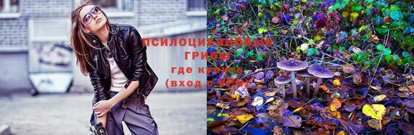 дурь Аркадак