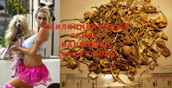 дурь Аркадак