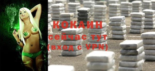 дурь Аркадак