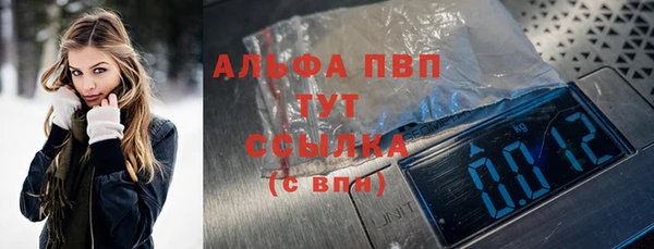 первитин Богданович